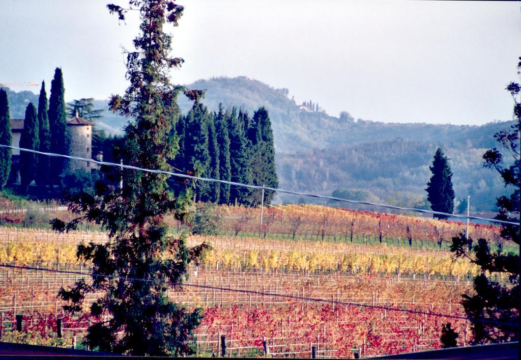 Tenuta Perusini Corno di Rosazzo Экстерьер фото